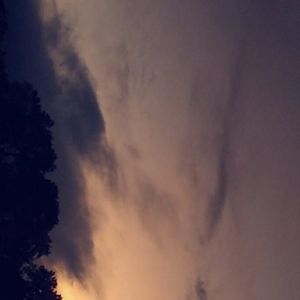 Meet your Posher, Wally